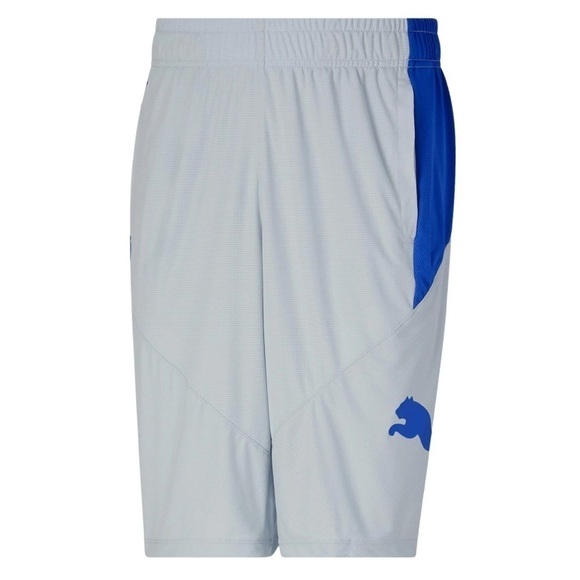 Puma Men's 10" Moisture Wicking Training Cat Shorts Grey/Blue- men short - Picture 1 of 10